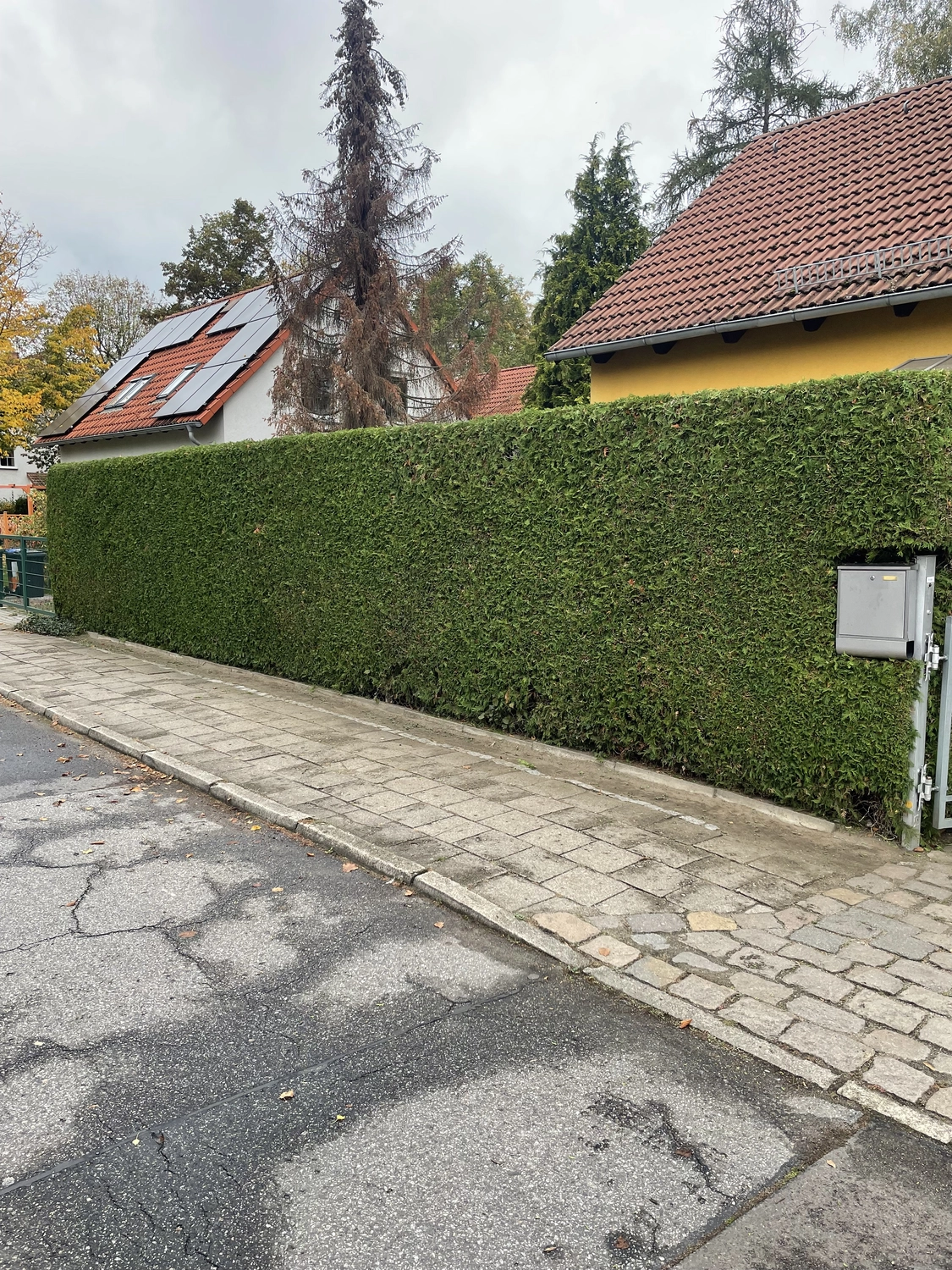 Garten von Garten- und Landschaftsbau Zittlau 