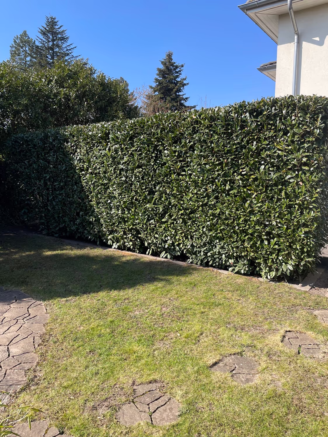 Garten von Garten- und Landschaftsbau Zittlau 